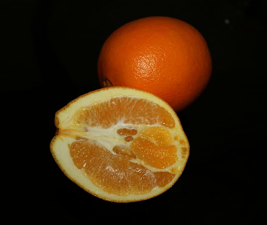 orange, fruit, orange fruit, citrus, round, circle, vitamin c HD wallpaper