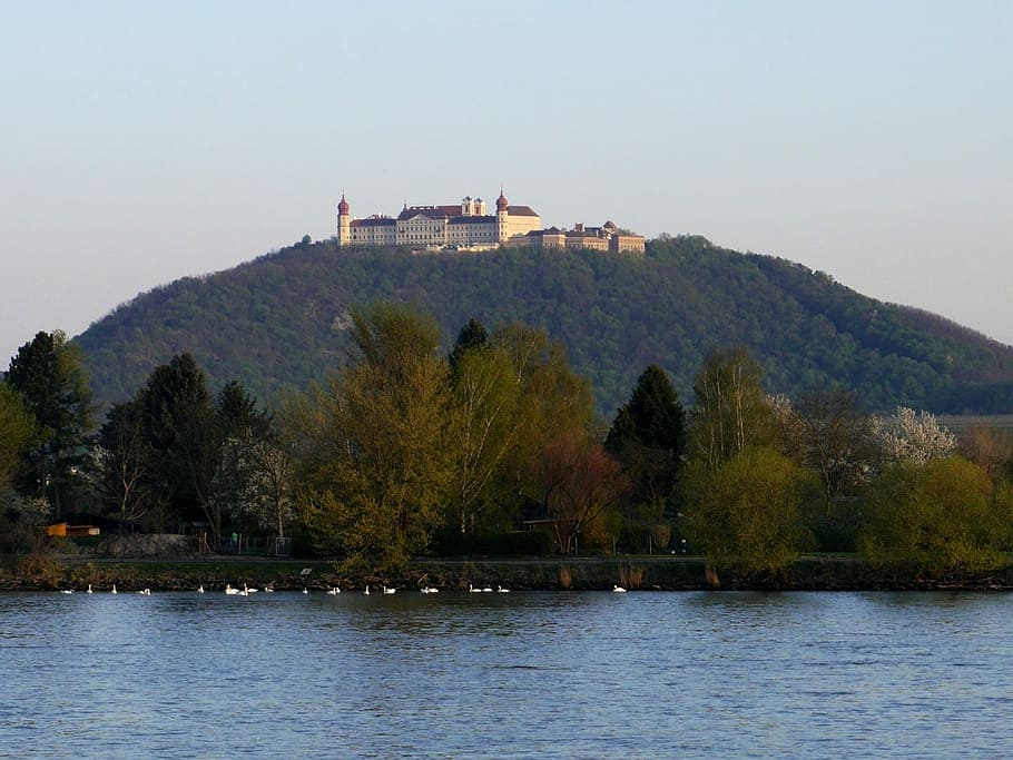 Gottweig, Monastery, Austria, Danube, geese, tree, river, no people HD wallpaper