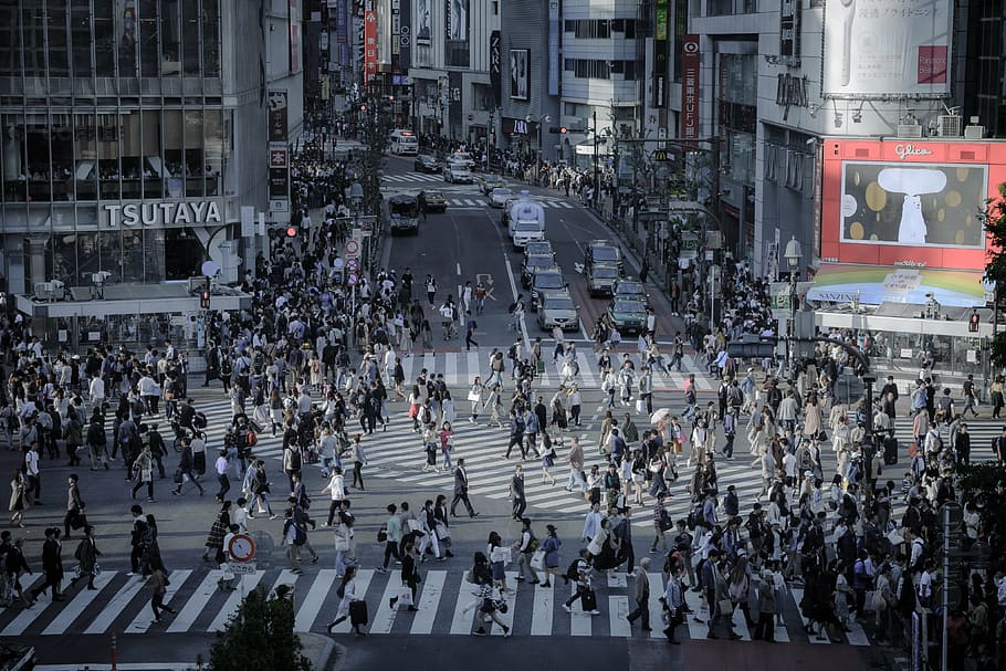 people walking on concrete road near buildings, shibuya, intersection
