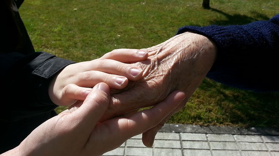 three hands holding together, generations, ages, human hand HD wallpaper