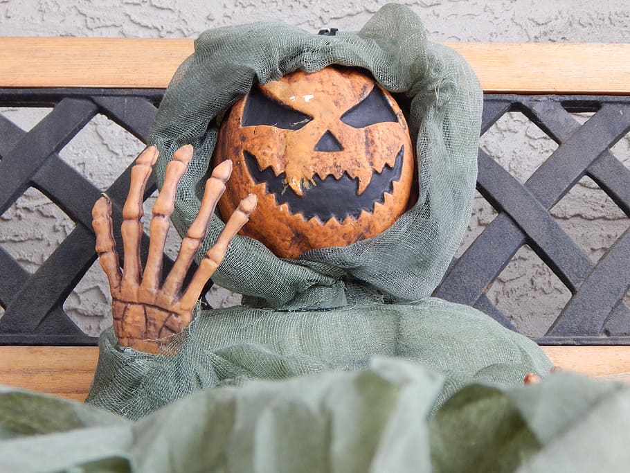 Halloween, Skeleton, Pumpkin, Bony, fingers, scary, ghoul, ghoulish HD wallpaper