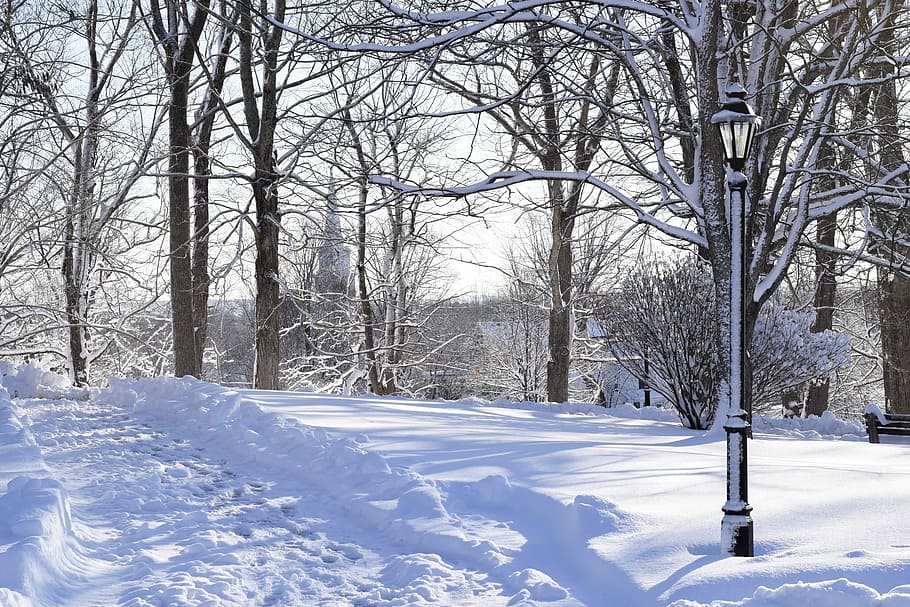 winter, snow, frost, cold, season, march 8, village, frozen HD wallpaper