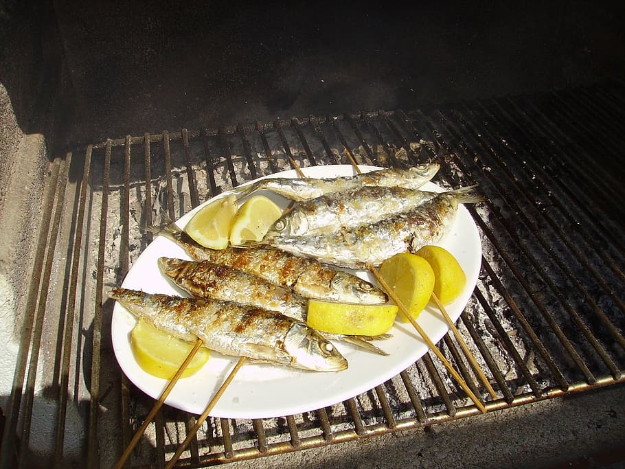 sardines, sardinas, fish, seafish, mediterranean, grilled, speciality, HD wallpaper