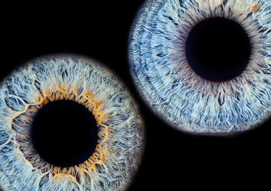 two eye lens, iris, macro, black eye, eyesight, iris - eye HD wallpaper