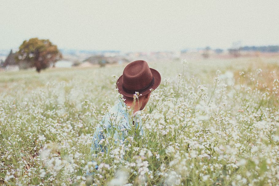 men's brown hat, man wearing brown hat, field, white, flowers HD wallpaper