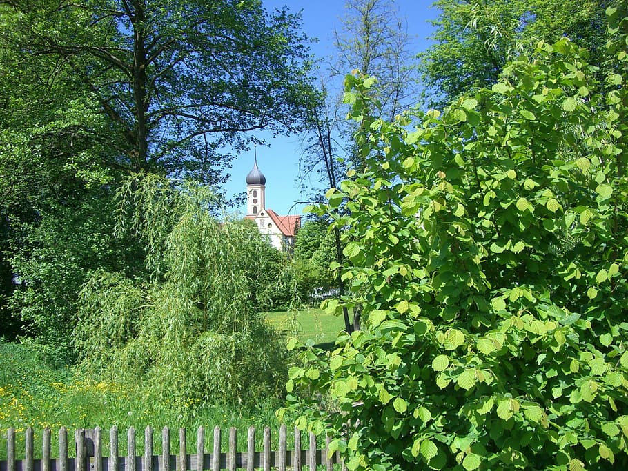 monastery church, oberschönenfeld, swabia, bavaria, plant, HD wallpaper
