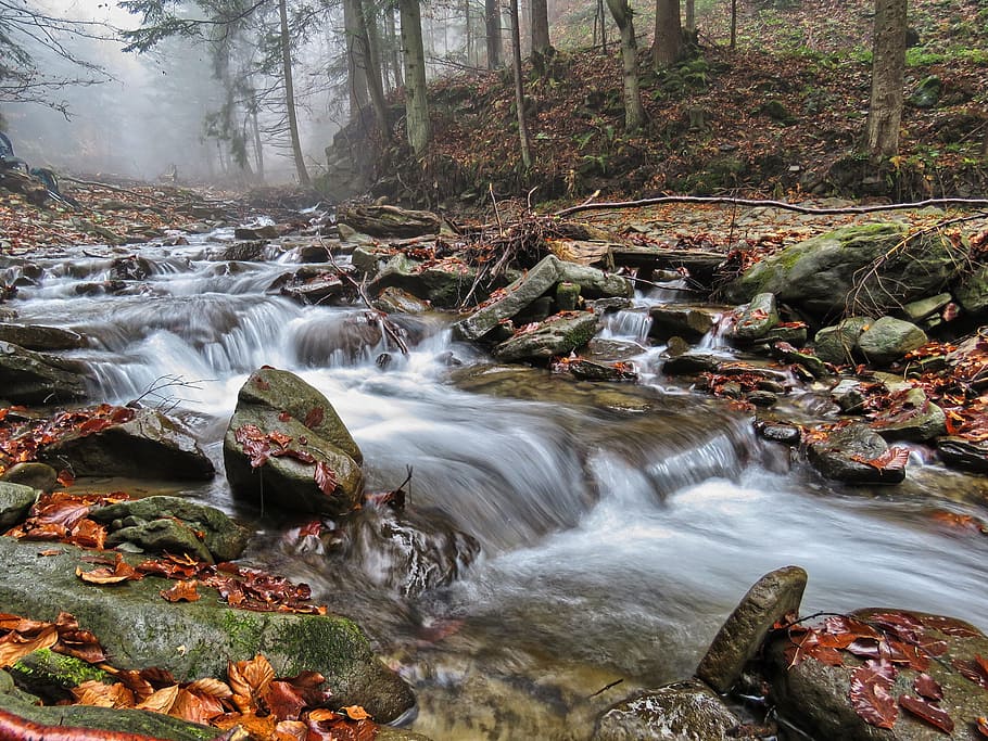River, Water, Cascade, Stream, the stones, torrent, forest HD wallpaper