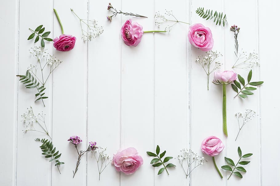pink roses on white surface, flowers, background, nature, wood - Material HD wallpaper