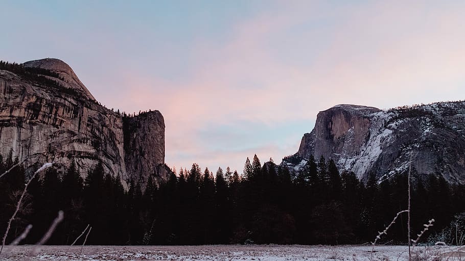 rocky mountains and trees, trees near mountains, mountain range HD wallpaper