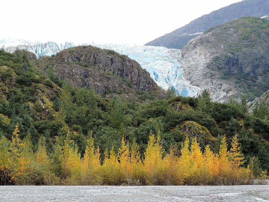 mountain and green tree photography, landscape photo of trees and frosted glacier HD wallpaper