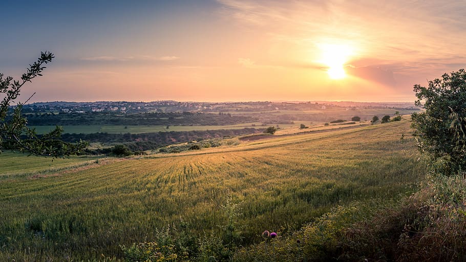 green fields near trees during golden hour, photo of mountains during golden hour HD wallpaper