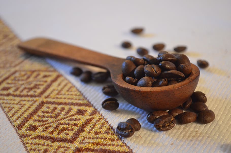 tilt-shift lens photo of coffee beans on spoon, ethiopia, africa
