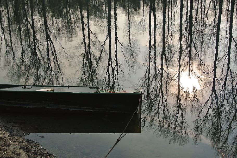 Water, Reflection, Sun, Trees, Boot, mirroring, winter, no people HD wallpaper