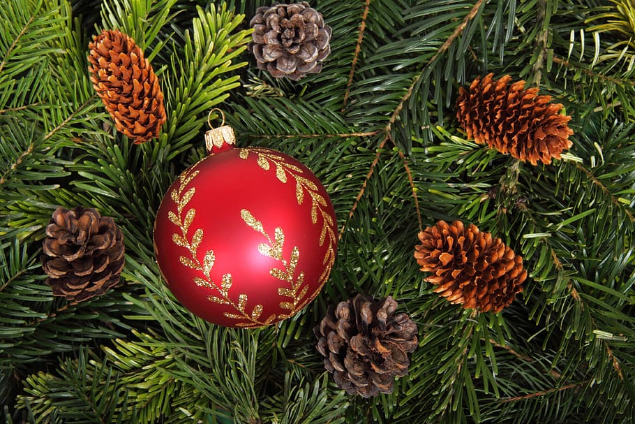 red Christmas bauble beside brown pine cones, background, ball HD wallpaper