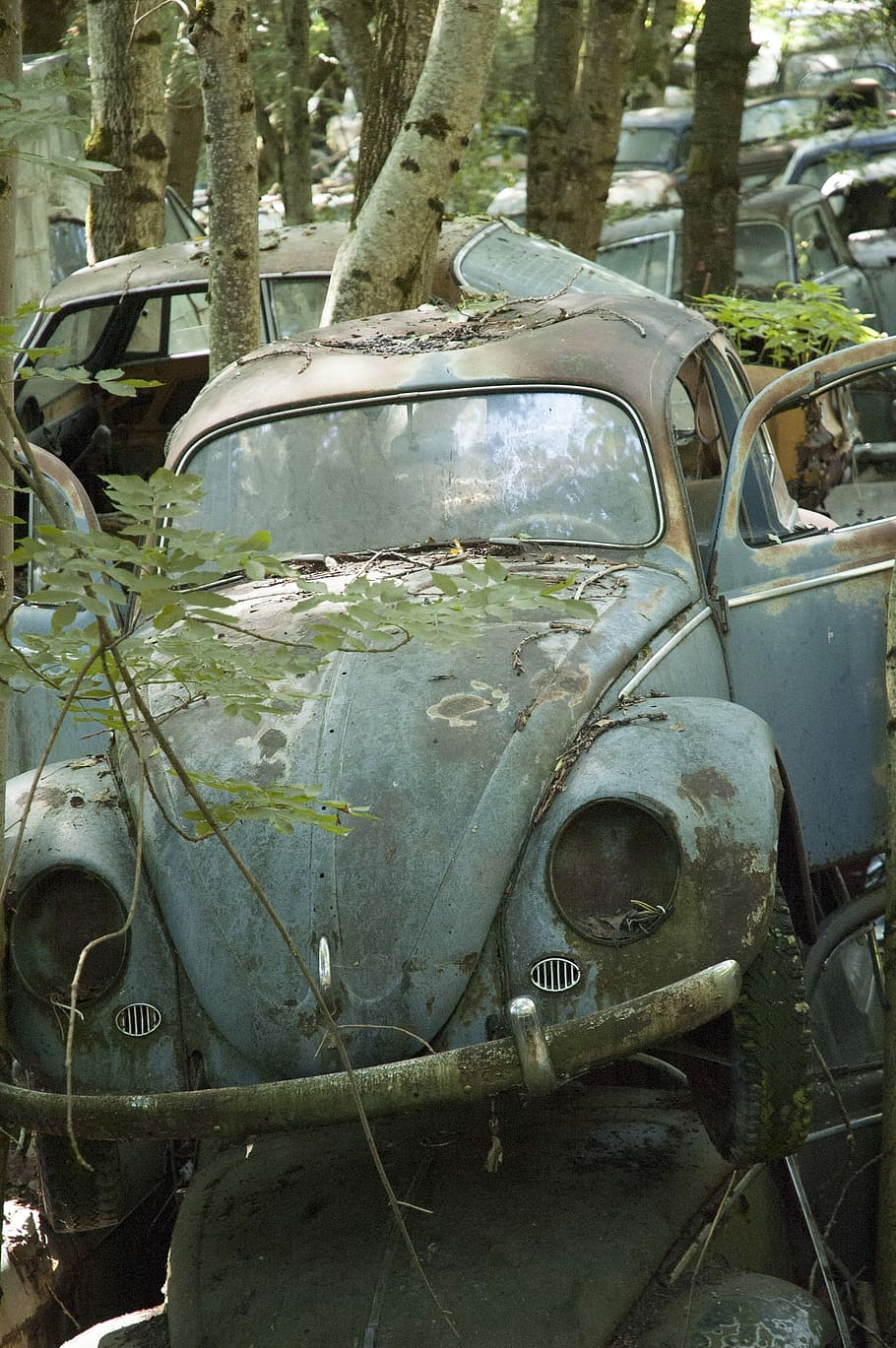 Auto, Car, Cemetery, Oldtimer, Stainless, car cemetery, stainless karre HD wallpaper