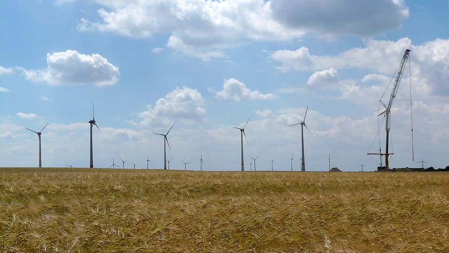 wind turbine, cornfield, assembly, fuel and power generation HD wallpaper