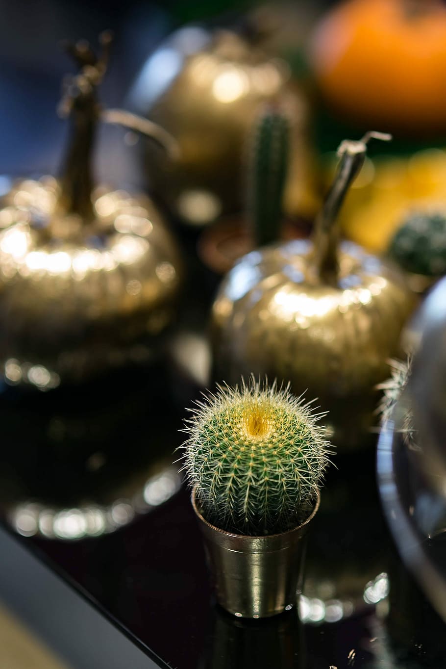 Golden ornamental pumpkins with cactuses, ornaments, baubles, HD wallpaper