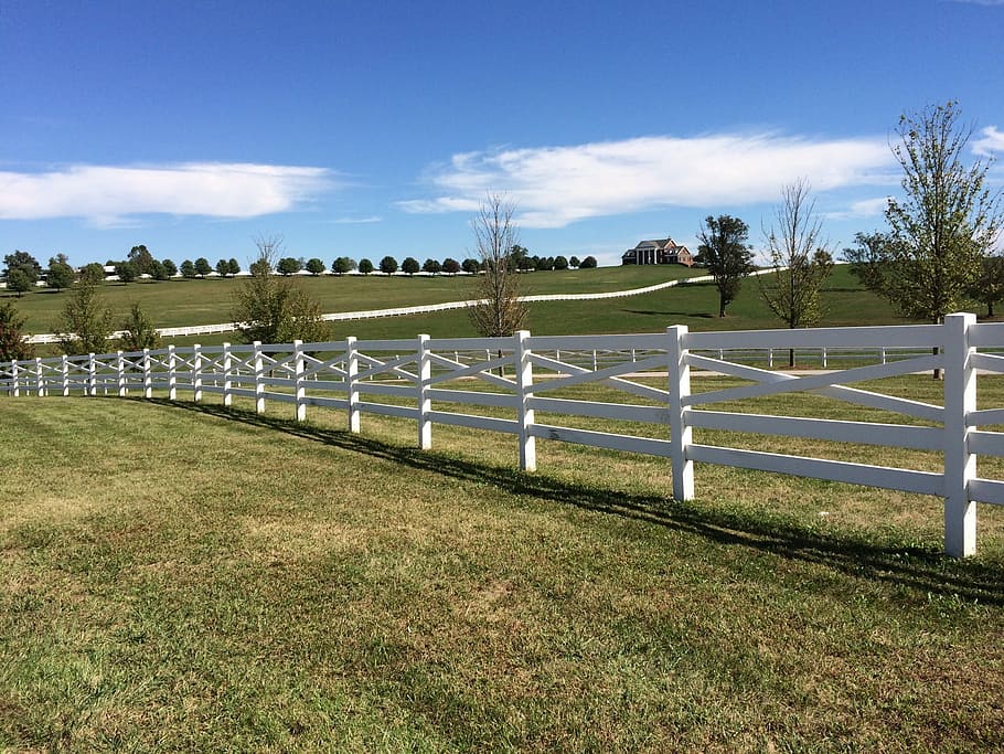 Bluegrass, Fence, Rural, Trees, Clouds, kentucky, outdoors, HD wallpaper
