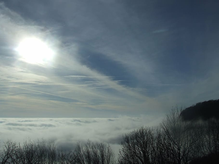 inversion, cloud, tar stone, beech hg, fog, nature, forest HD wallpaper