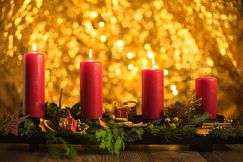 four lighted red pillar candles on tray with leaves, advent HD wallpaper