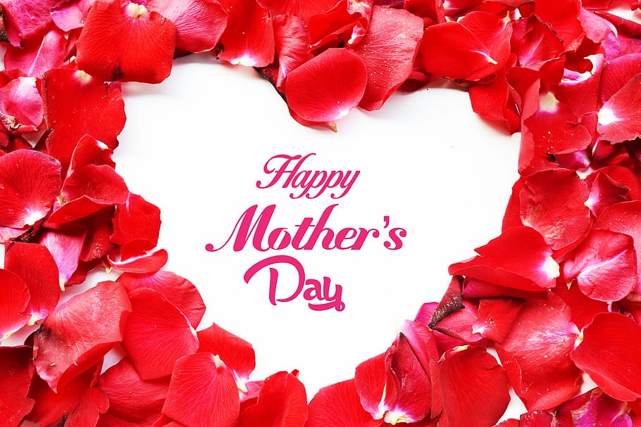 Happy Mother's Day text overlay, april, background, beauty, bloom