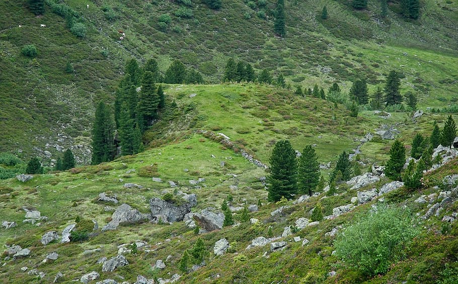 Ложбина 4 буквы. Горная ложбина. Овраг в горах. Ложбина на Горном склоне. Ложбина между холмами.