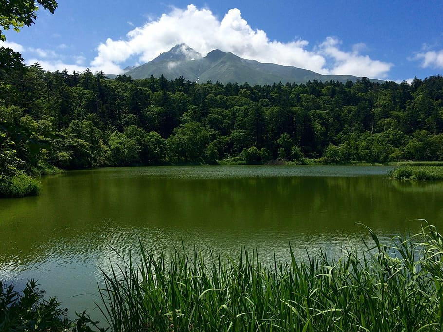 it, early, mt, natural, plant, water, scenics - nature, lake HD wallpaper
