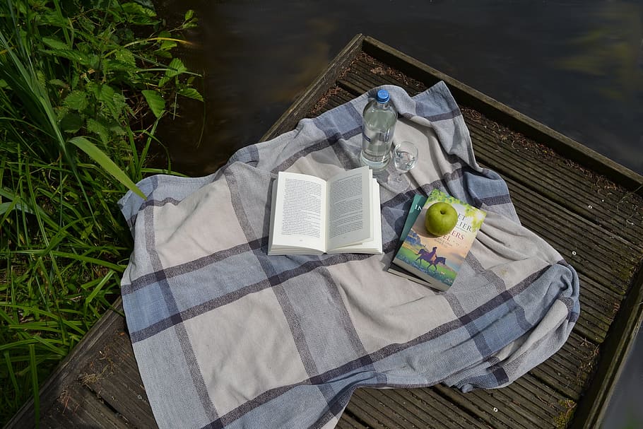 Book, Picnic, Leisure, Park, Outdoors, lifestyle, summer, reading, HD wallpaper