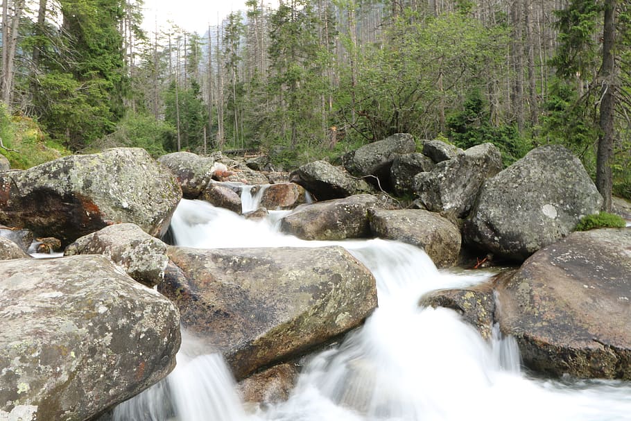 nature, rock, water, stream, tree, waterfall, river, travel HD wallpaper