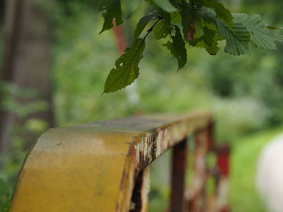 railing, bridge, iron, stainless, old, weathered, leaf, nature HD wallpaper
