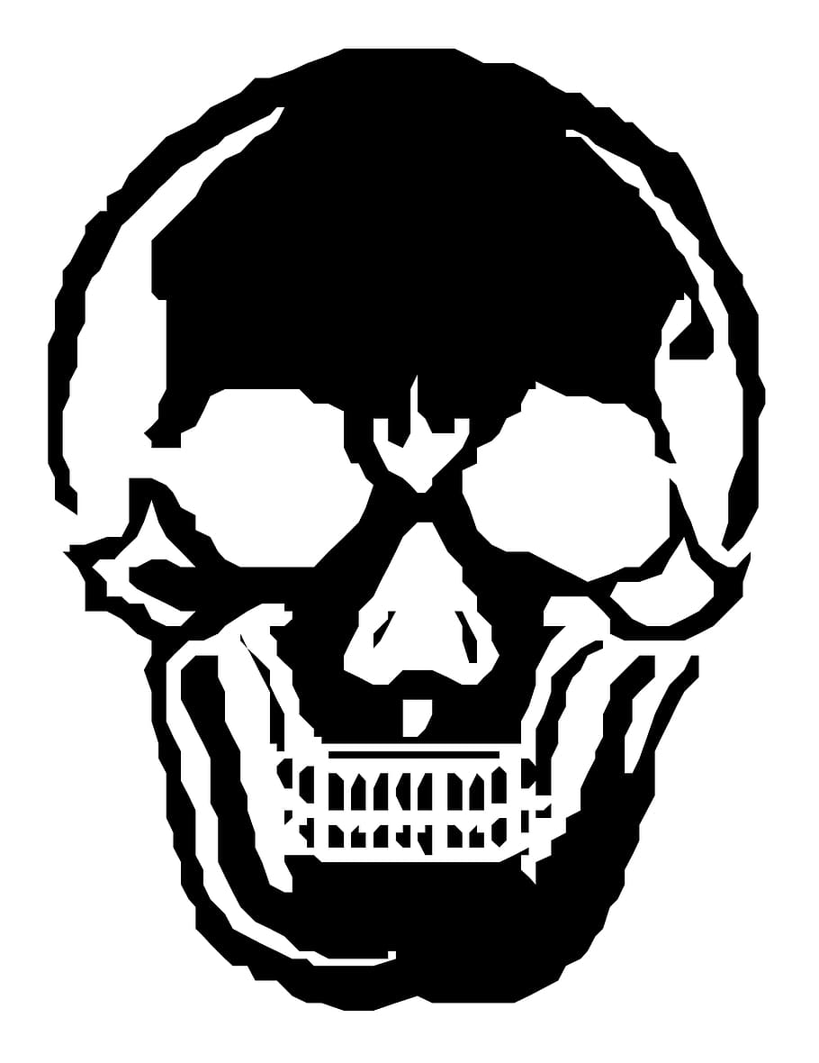 Skull, Human, Skeleton, Halloween, horror, spooky, anatomy, HD wallpaper