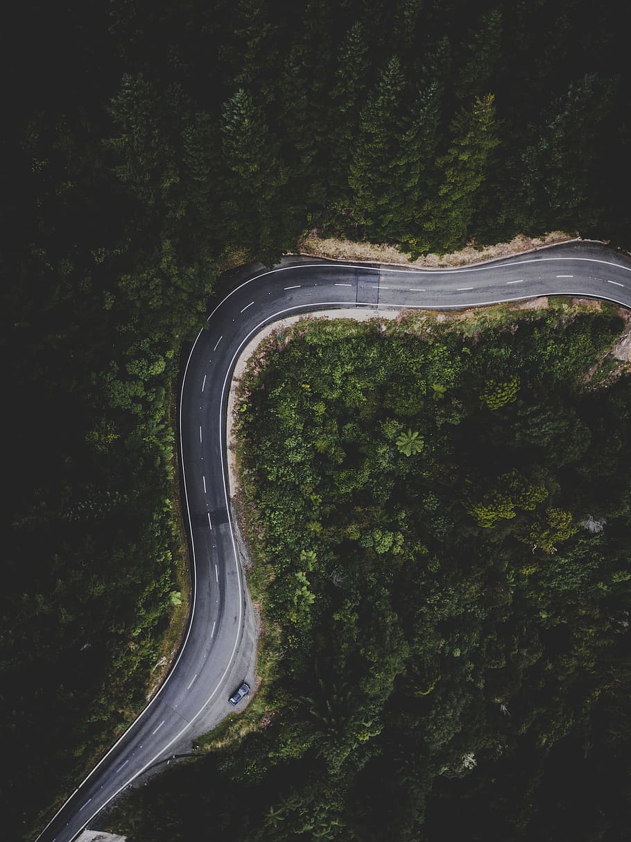 A Lonely Road, aerial view of gray rod, nature, highway, tree HD wallpaper