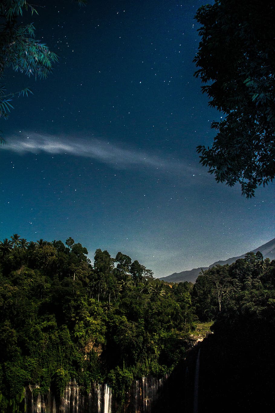 green leafed trees beside cliff, green trees, sky, star, clouds HD wallpaper