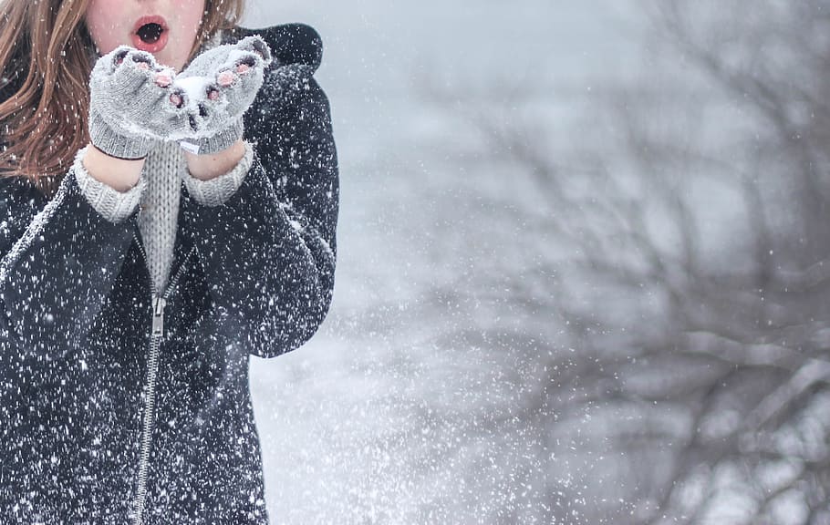 Women's Black Zip Up Hooded Jacket, beautiful, clothes, cold HD wallpaper