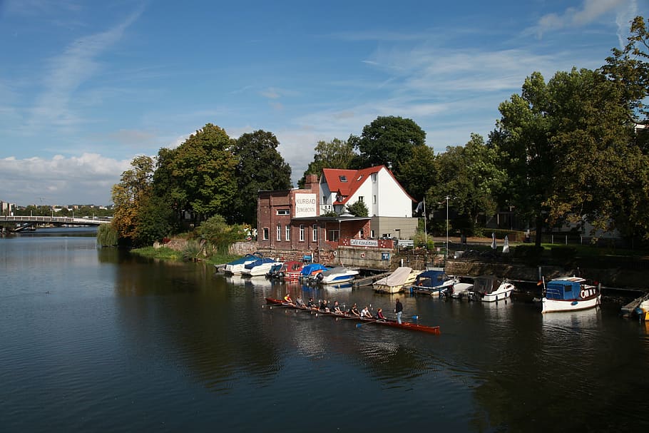 rowing boat, rowing eighth, roller coaster, river, water, tree HD wallpaper