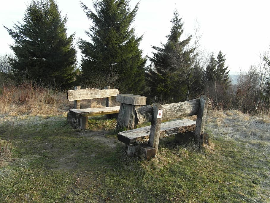 Bank, Break, Sit, Bench, Nature, Rest, hiking, tree, no people HD wallpaper