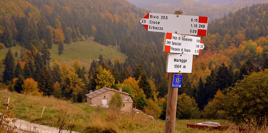 signal, crossroads, excursion, forest, trees, autumn, the european path HD wallpaper