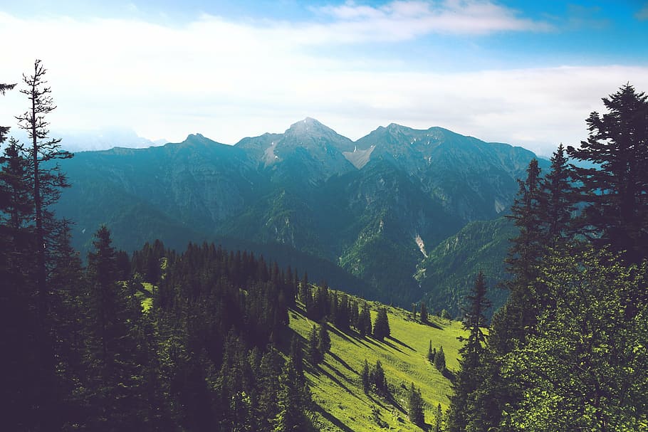 mountain, forest, nature, grass, view, panorama, sky, clouds HD wallpaper