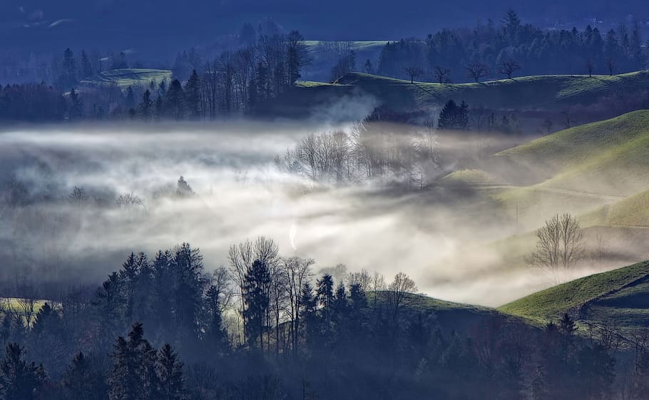 mountain, highland, trees, plant, nature, view, fog, cold, weather HD wallpaper