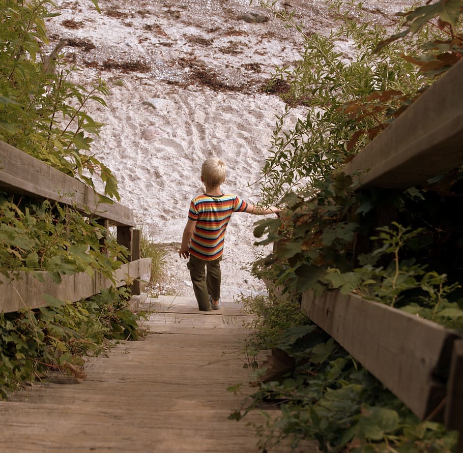 Boy, Beach, Sand, Stone, summer, green, staircase, wood, shrubs HD wallpaper
