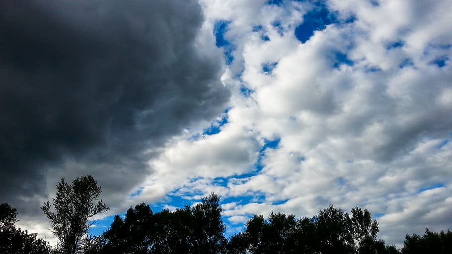 clouds, poland, sky, landscape, tree, summer, nature, sky clouds HD wallpaper