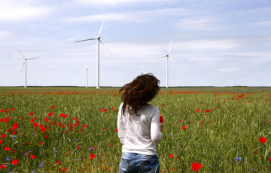 woman with white shirt on red poppy field at daytime, wind turbines HD wallpaper