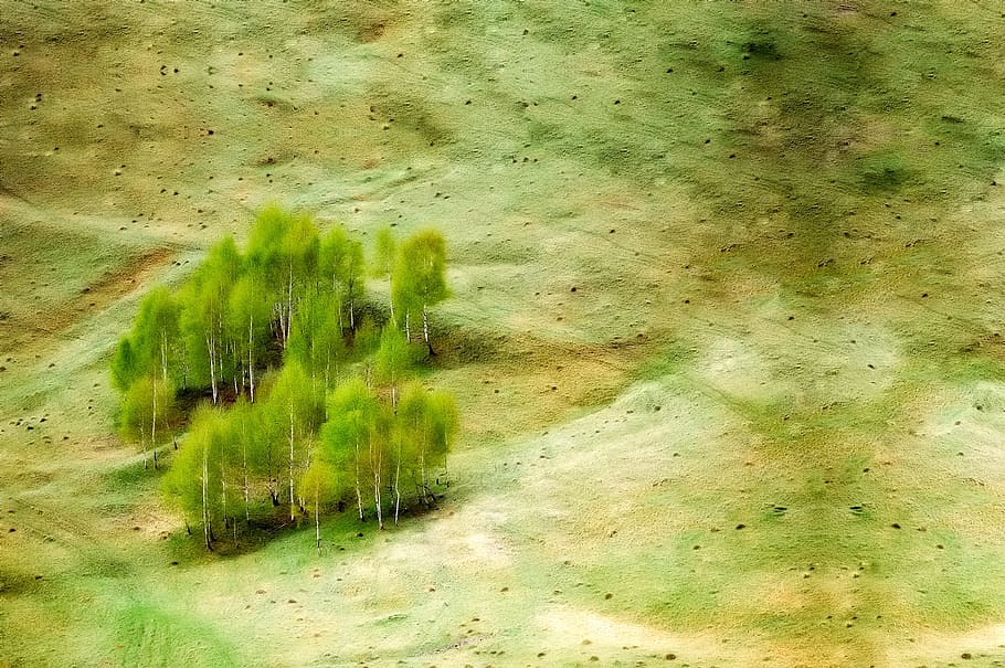 green and beige forest painting, landscape, meadow, field, trees HD wallpaper