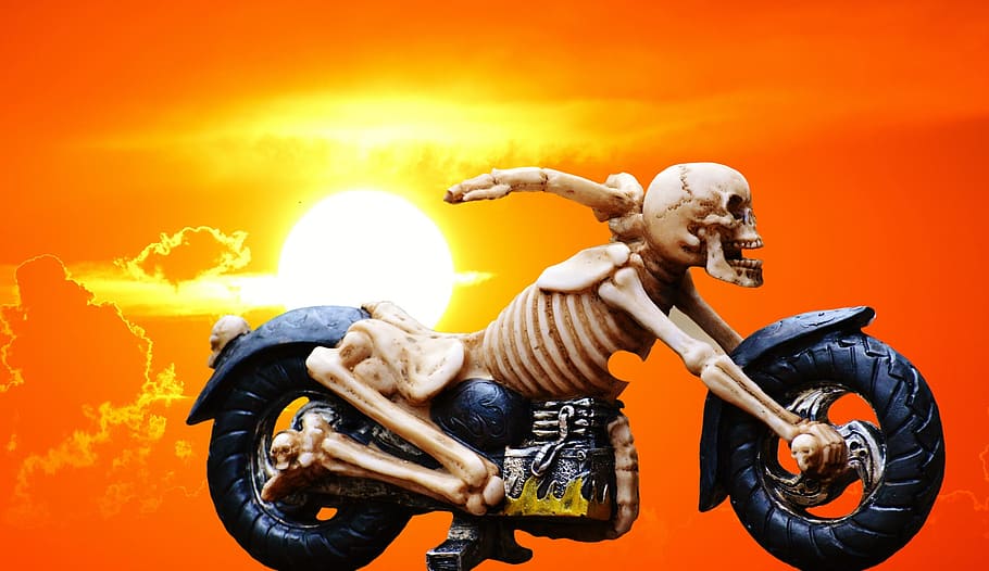 biker, skeleton, creepy, weird, decoration, scary, bone, horror HD wallpaper