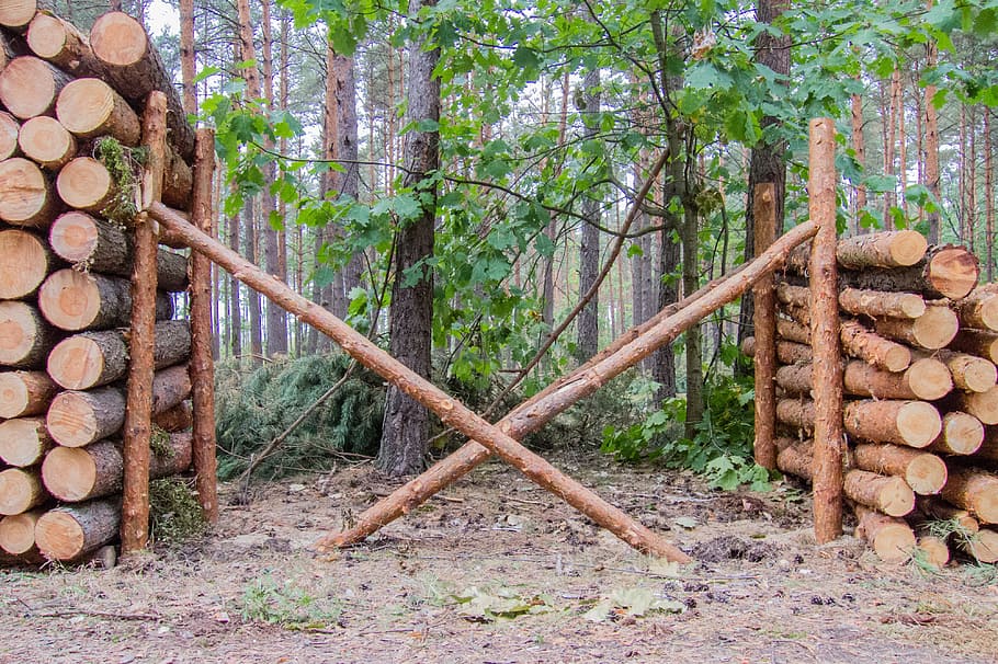 Wood, Slice, Stack, Pine, Cut, supported, tree, gardening, trunk HD wallpaper