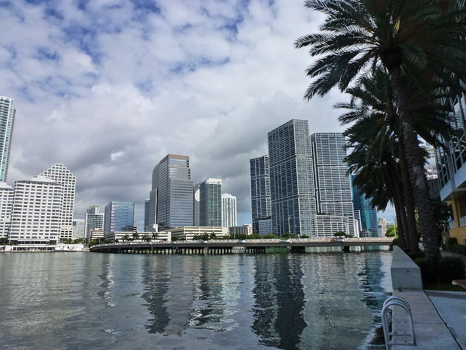 architectural photography of hi-rise buildings, Miami, Florida HD wallpaper