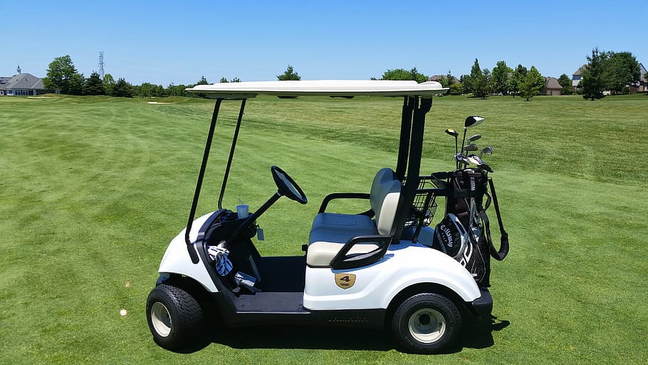 white and black golf cart on golf course, Grass, Outdoor, Golf, Course