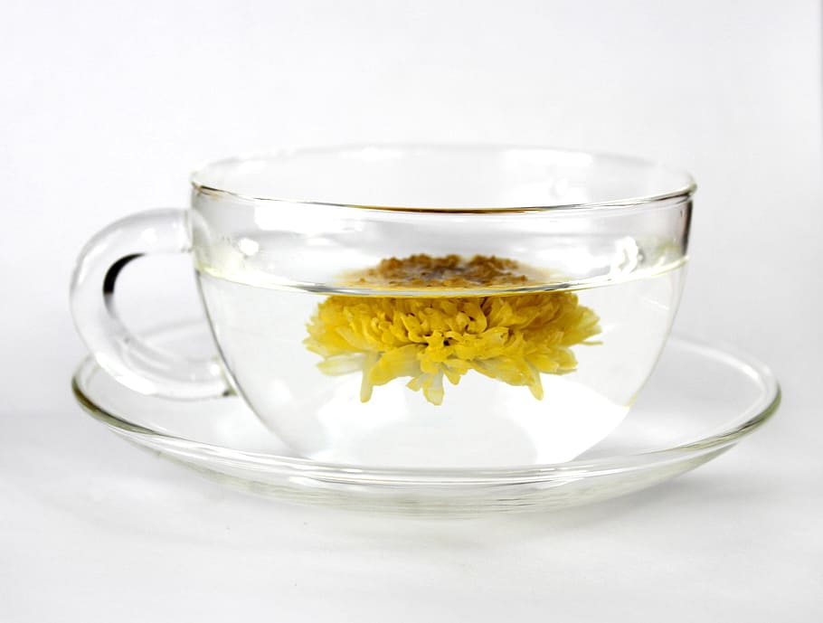 clear glass teacup with saucer, chrysanthemum tea, food, breakfast HD wallpaper