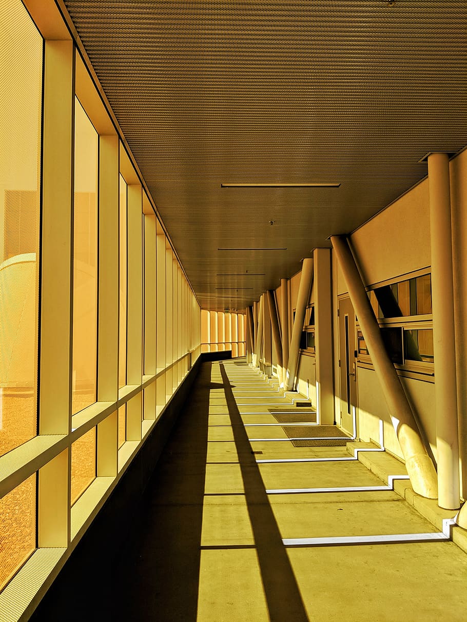 hallway, orange glass, afternoon, building, concrete, college