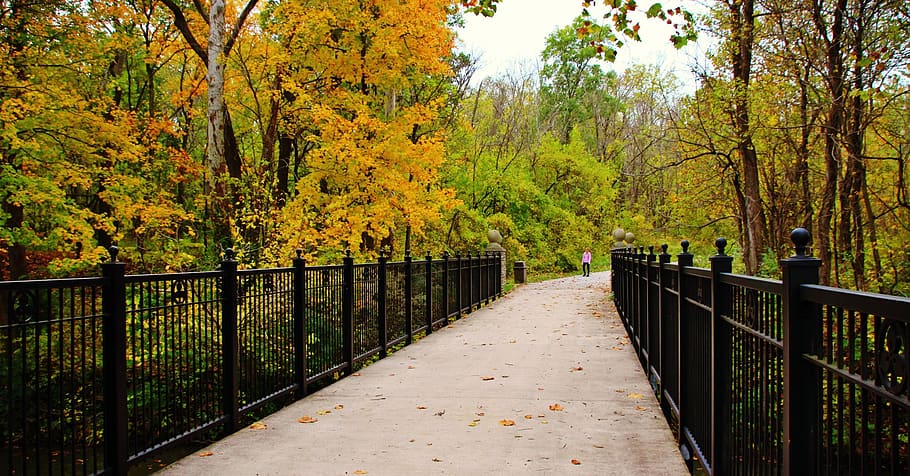 park, fall, leaves, gate, bridge, yellow, outdoor, landscape HD wallpaper